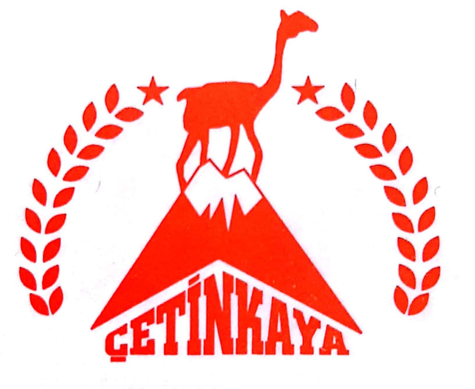 ÇETİNKAYA