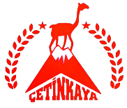 ÇETİNKAYA